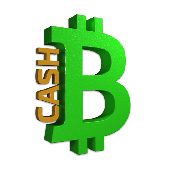 bitcoin cash bch)